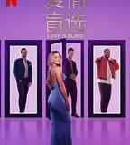 愛情盲選 第八季
