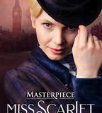 斯嘉麗小姐探案集 第五季
