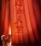 嚮往的生活 第八季