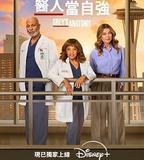 實習醫生格蕾 第二十二季