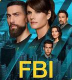 聯邦調查局 第八季