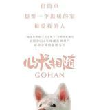 心犬相隨