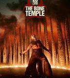 驚變28年2：白骨聖殿