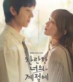 在你燦爛的季節